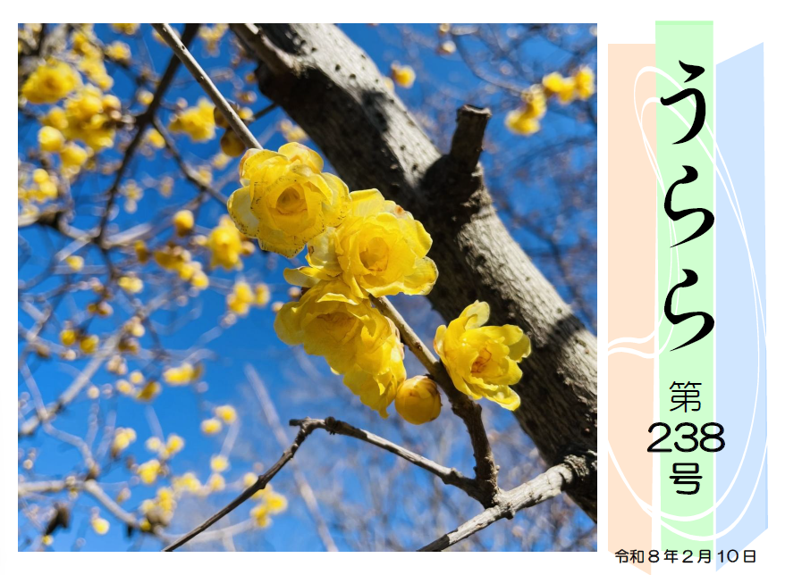 広報誌「うらら238号」